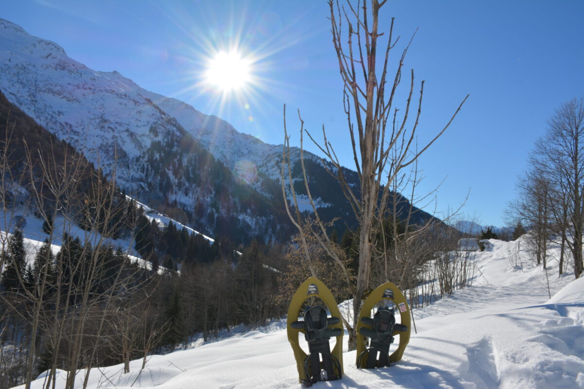 Raquettes Avec Un Accompagnateur Porte De Maurienne Tourisme 