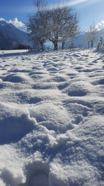 coeur dans la neige